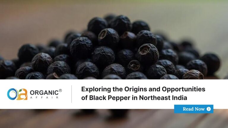 Exploring the Origins and Opportunities of Black Pepper in Northeast India